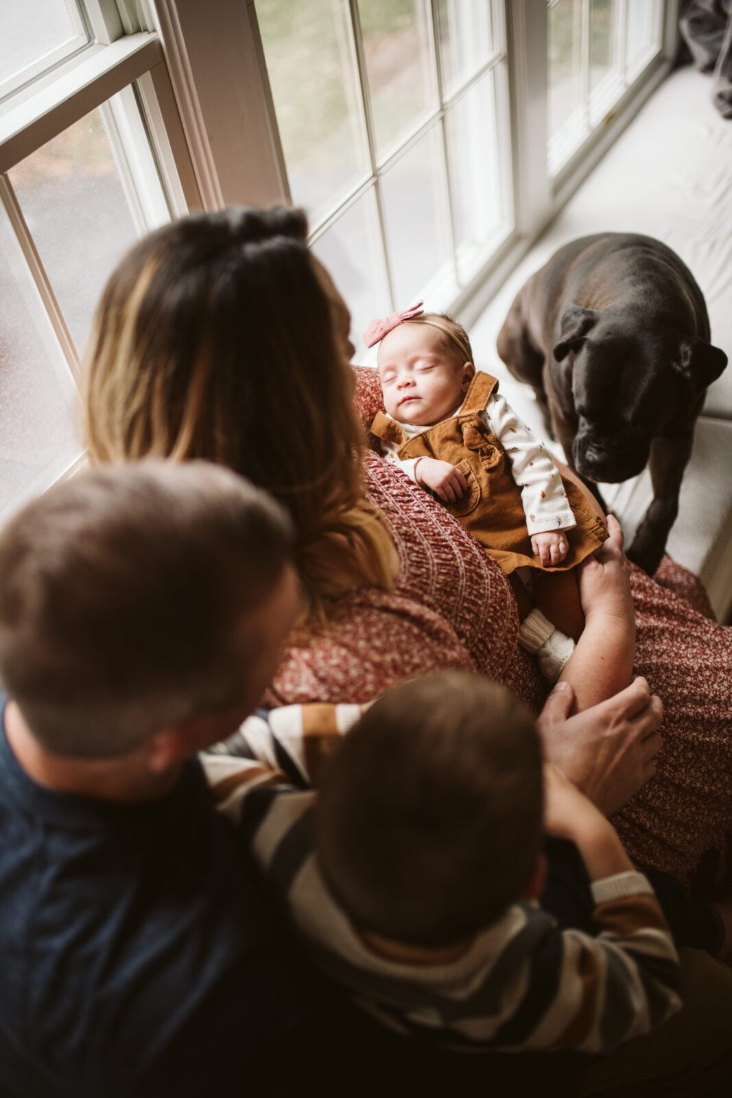 newborn lifestyle portrait taken of family with dog near Pittsburgh by Laura Mares Photography