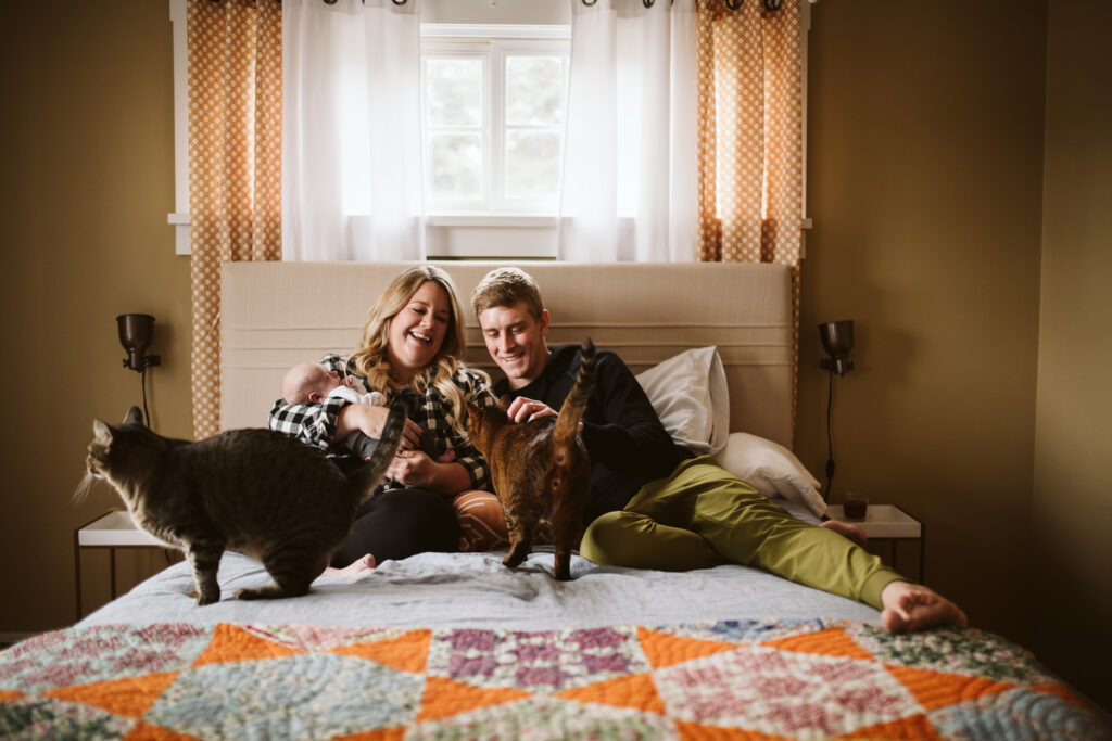 A family holding their newborn baby with their two cats laying on the bed. Lifestyle photo by Laura Mares Photography, Pittsburgh Newborn Photographer.