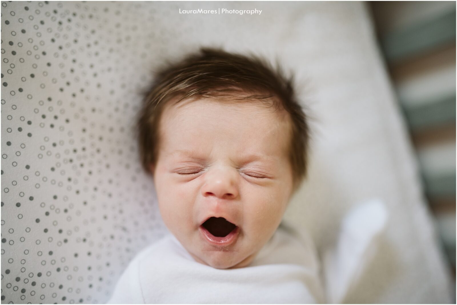 Read more about the article Newborn Spotlight: Pittsburgh Lifestyle Photographer