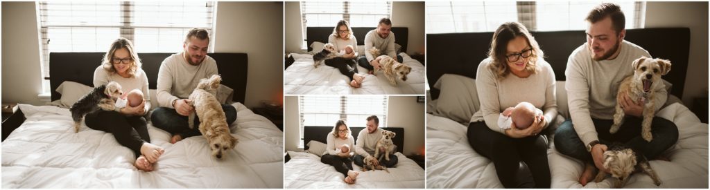 pittsburgh lifestyle portrait of a family sitting in bed with two dogs and their newborn son