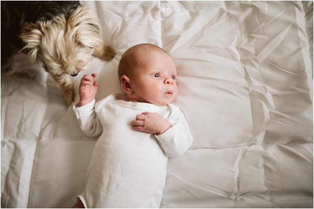 pittsburgh lifestyle portrait of a newborn boy with his dog 