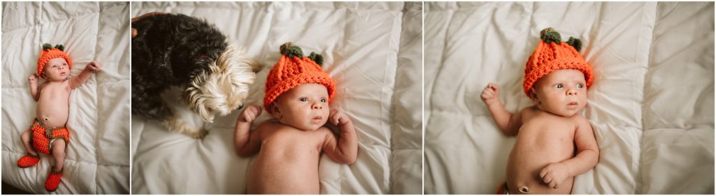 pittsburgh lifestyle portraits of a newborn boy laying on a bed wearing a pumpkin outfit.