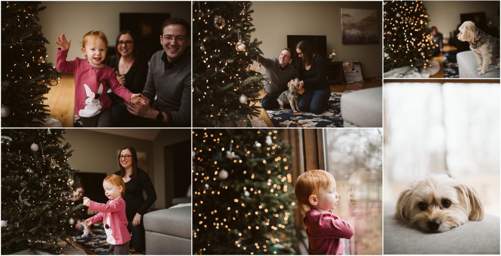 Family of three decorating their home for Christmas. Photograph by Laura Mares Photography, Pittsburgh Lifestyle Photographer.