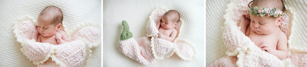 Newborn baby girl posed in a flower cocoon. Newborn portrait by Laura Mares Photographer, Pittsburgh Newborn Photographer.