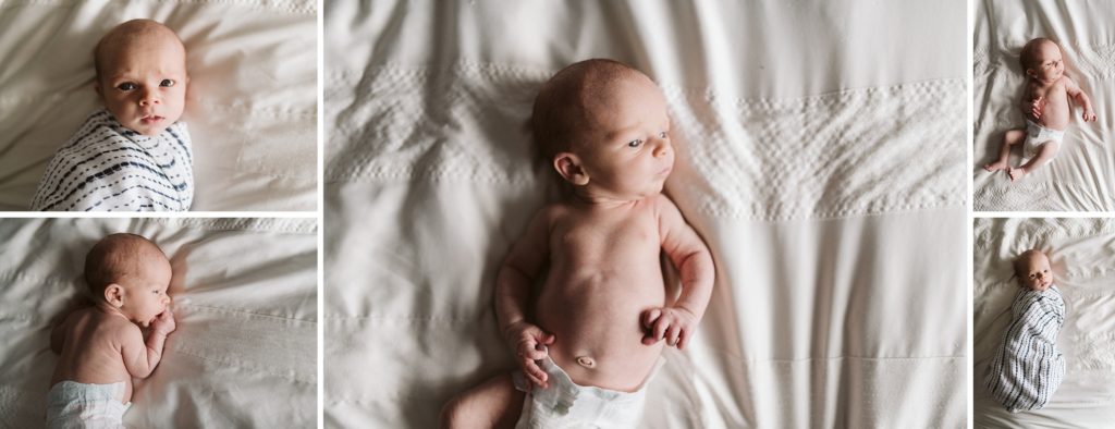 Newborn portraits. Pittsburgh Newborn Lifestyle Photographer, Laura Mares Photography.