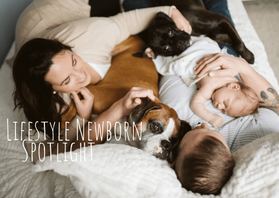Read more about the article Newborn Lifestyle Spotlight – Pittsburgh Lifestyle Photographer