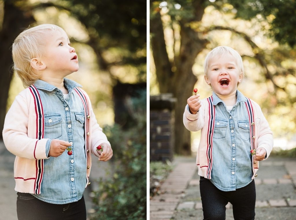 Little girl holding a strawberry. Photography by Laura Mares Photography, Pittsburgh Family Photographer.