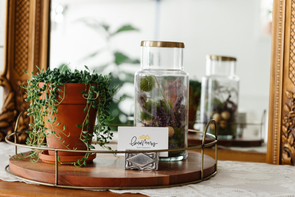 house plants, business cards and dried flowers on the sideboard in the bohemian studio