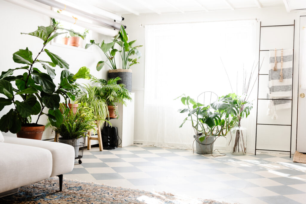 house plants, natural light and a checkered floor