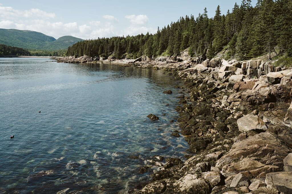 View from Otter Point, Acadia National Park