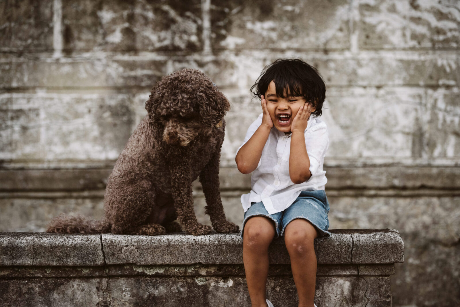 boy laughing from dog kisses