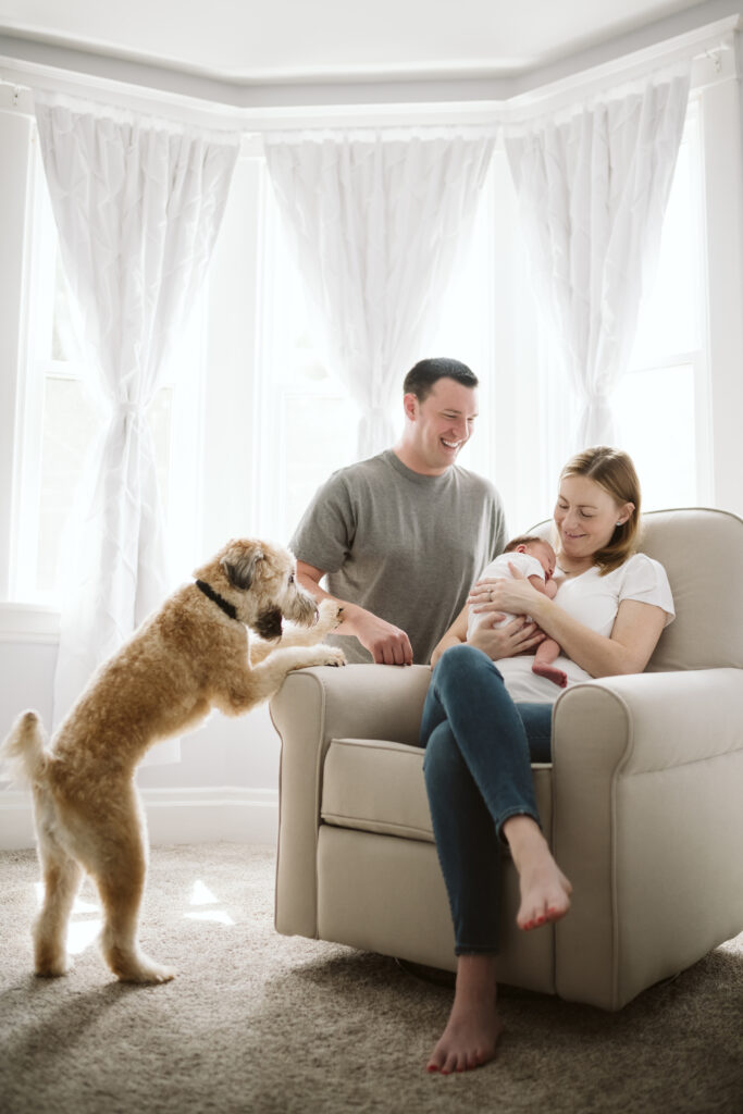 newborn lifestyle picture of family holding baby with dog in nursery