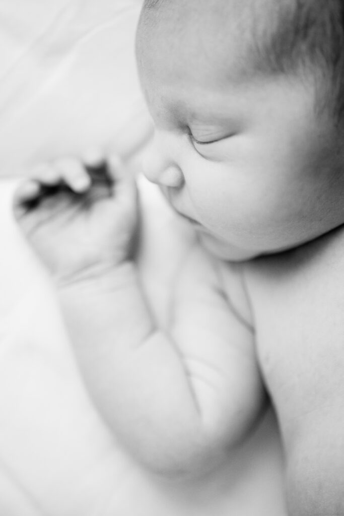 black and white newborn portrait