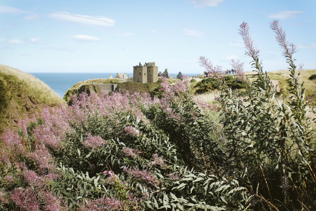 castle dunnottar, Scotland