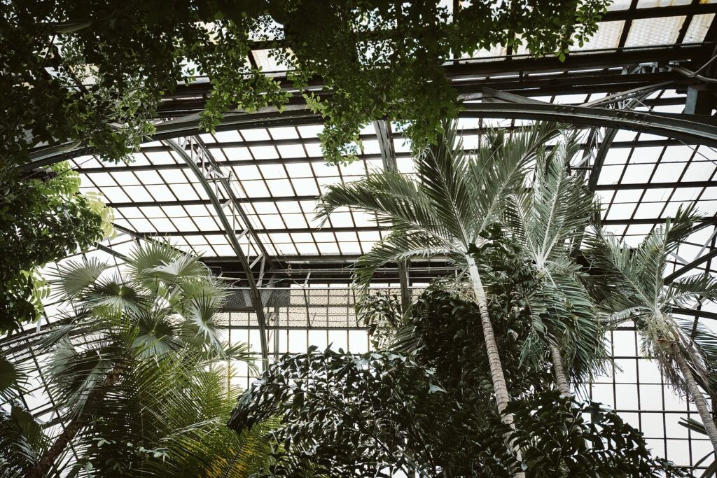 Lincoln park conservatory