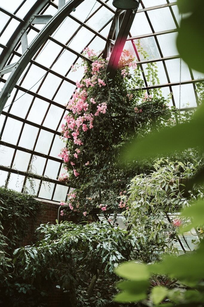 Lincoln park conservatory