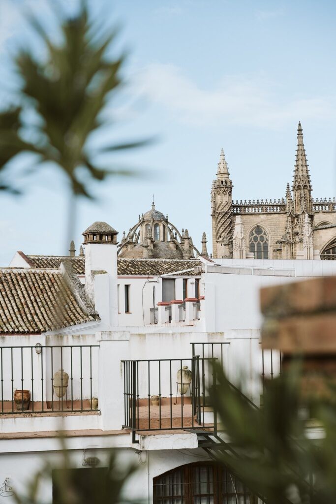 View of Seville Cathedral from a rooftop terrace in Barrio Santa Cruz, Seville, Spain