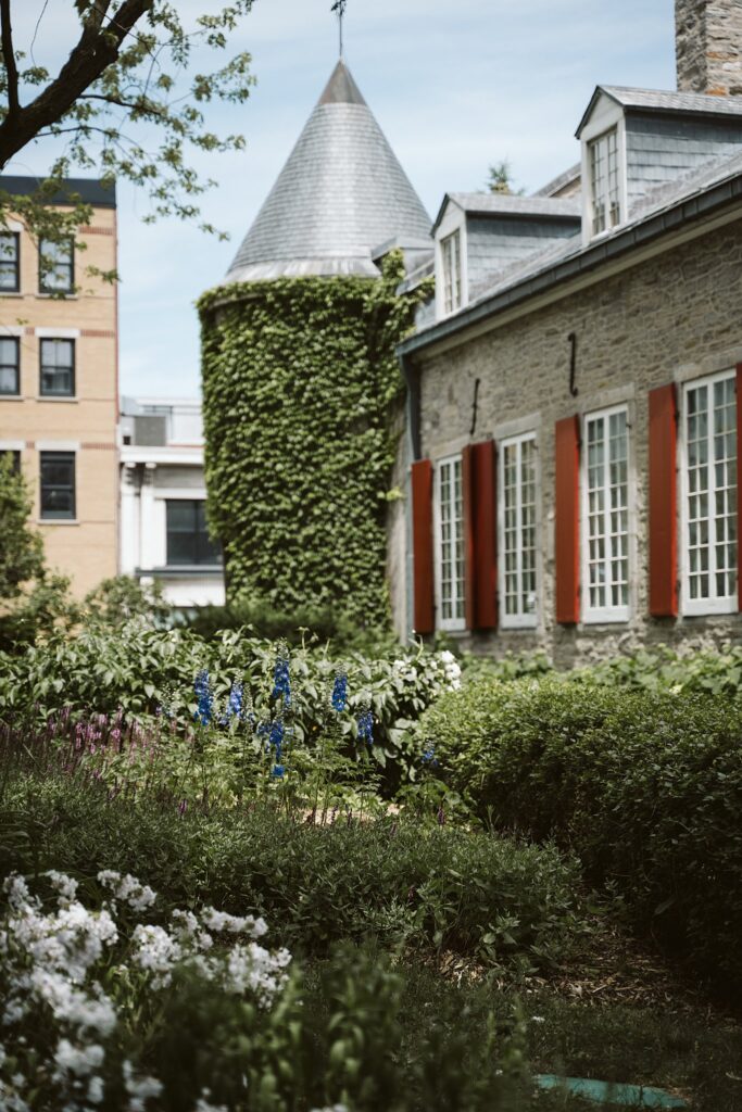 stone building with ivy in Montreal, Canada