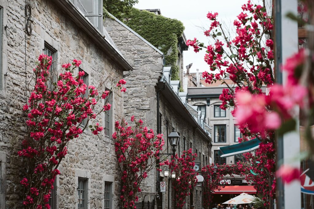 stone and flower alley in Montreal, Canada