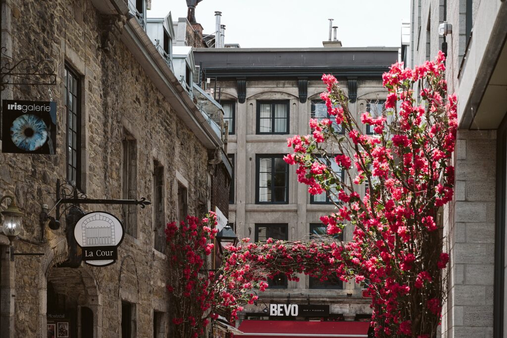 stone and flower alley in Montreal, Canada