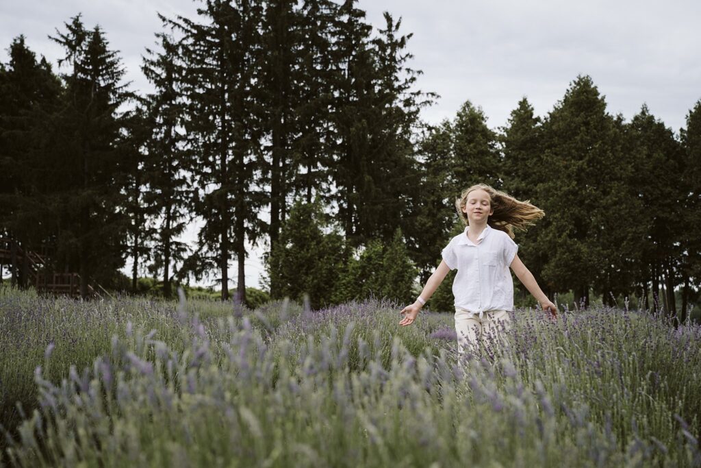 lavender field, Quebec Canada