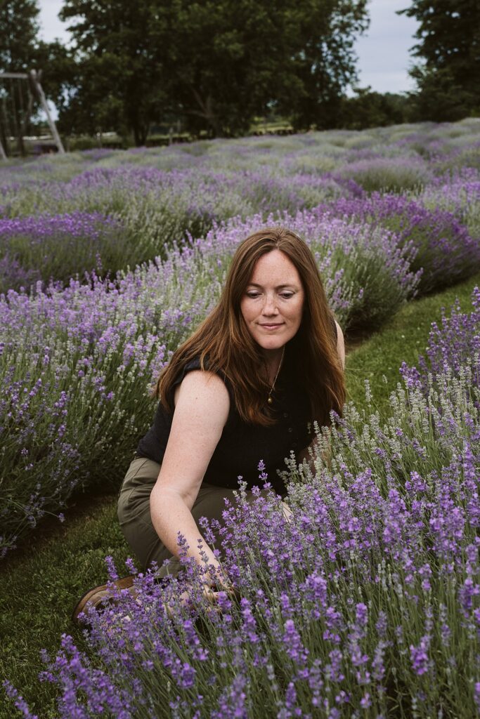 lavender field, Quebec Canada