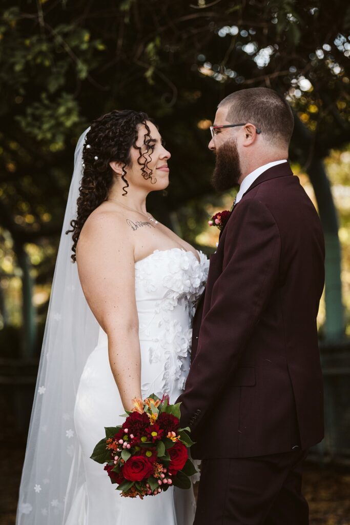 Bride and Groom on Wedding Day at West End Overlook, Pittsburgh