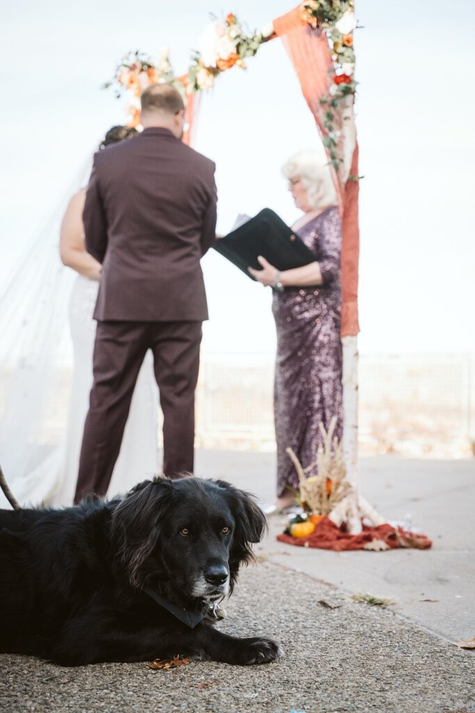 Bride and Groom on Wedding Day at West End Overlook, Pittsburgh