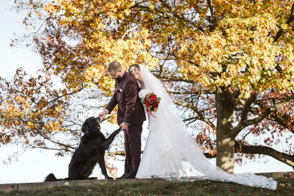 Bride and Groom with dog on Wedding Day at West End Overlook, Pittsburgh