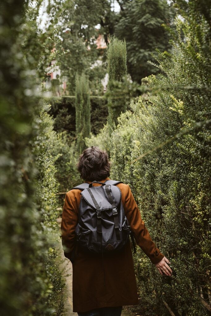 personal branding portrait of a young artist walking among evergreens