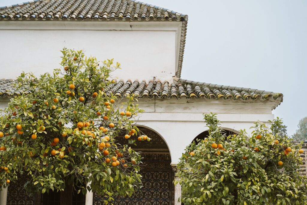 arches in Royal Alcazar in Seville, Spain