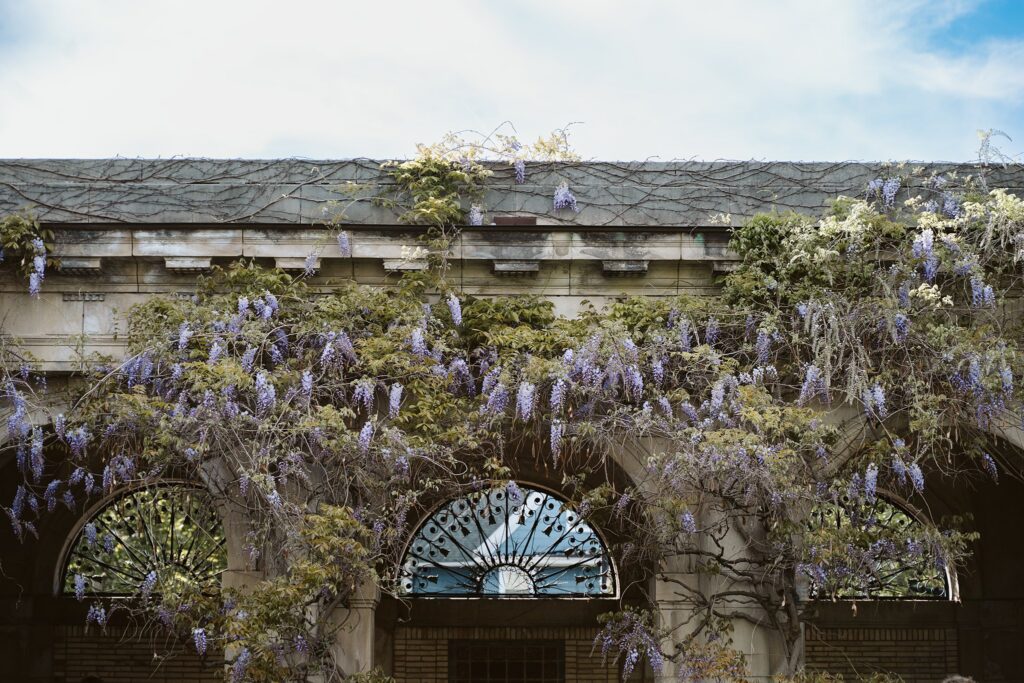 george eastman museum rochester photography tour