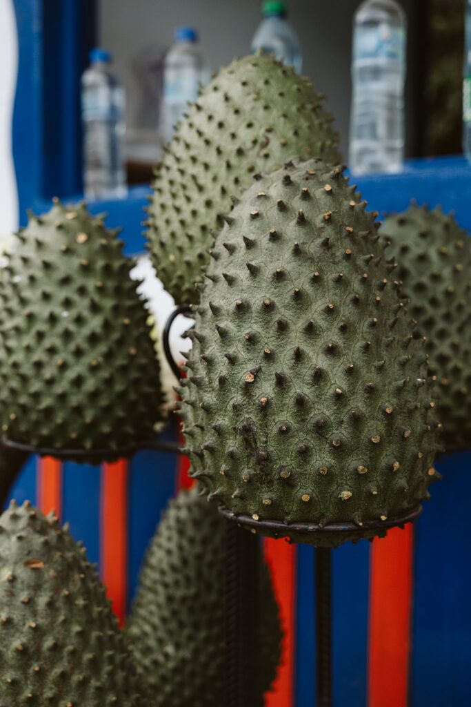 tropical fruit in colombia