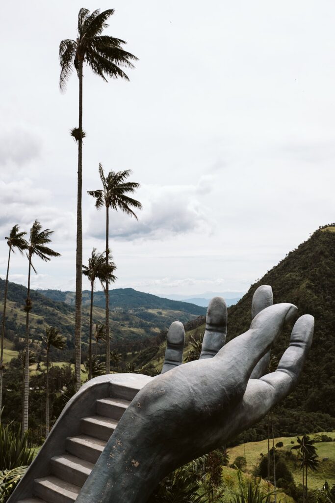The hand of Cocora