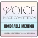 Laura Mares | 2023 Voice Photography Competition Honorable Mention